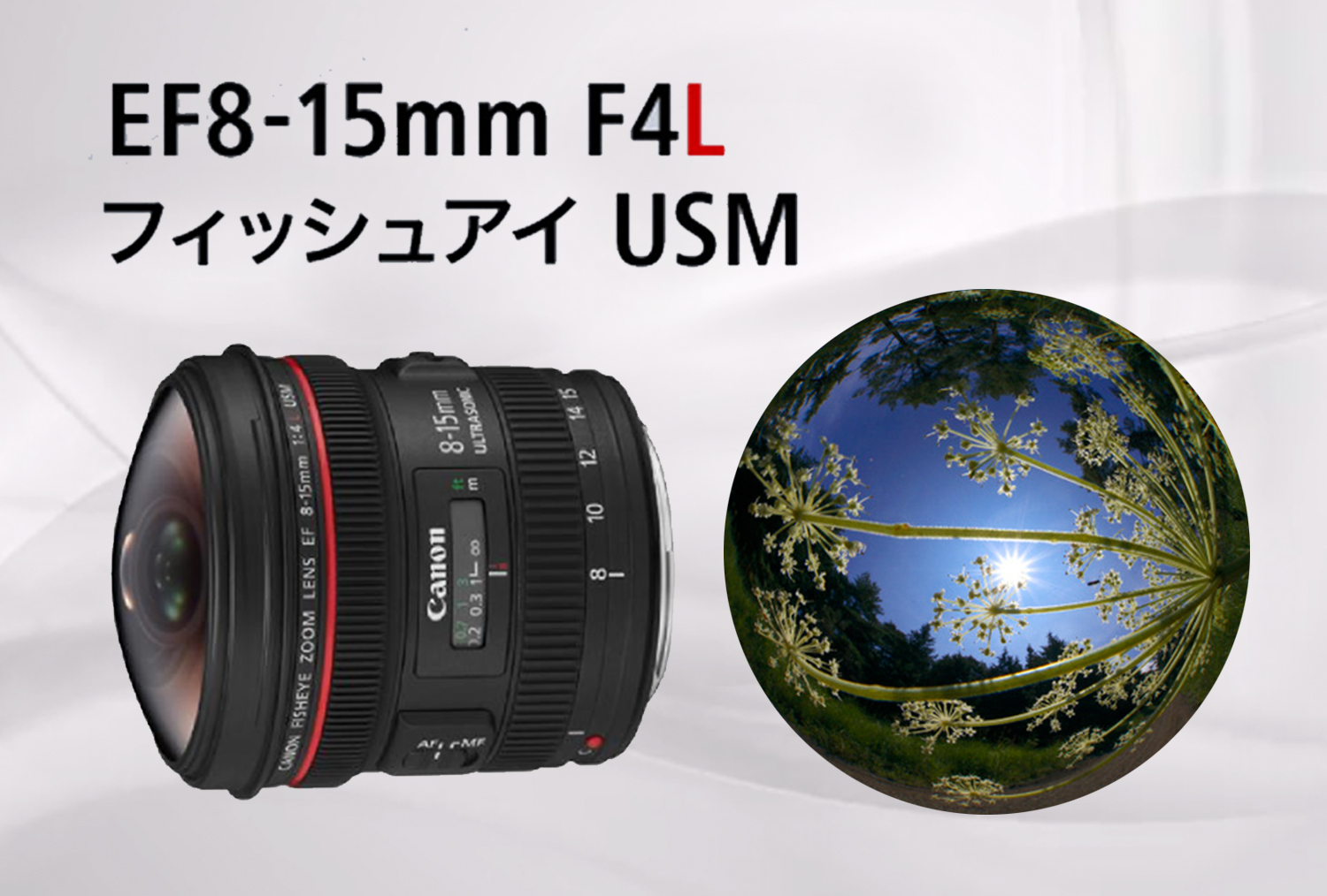 CANON EF8-15mm　導入