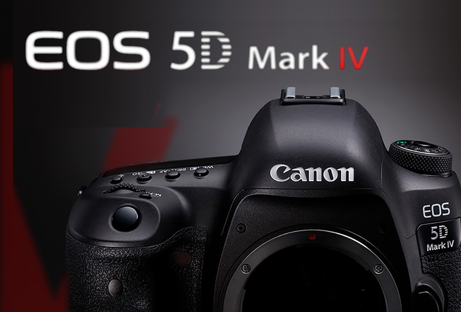 CANON 5D MarkⅣ 導入